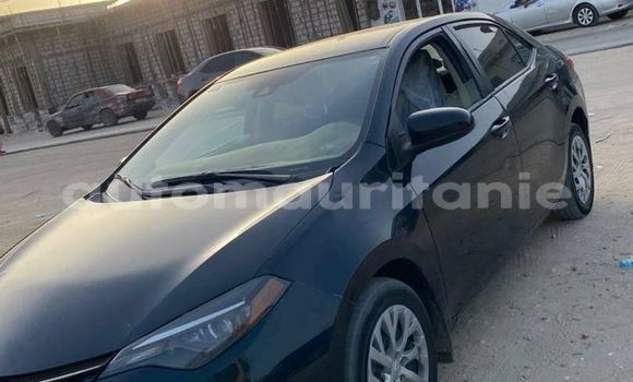 Acheter Occasion Voiture Toyota Corolla Noir à an–Na'mah, Hudh-ash-Sharqi Acheter Occasion Voiture Toyota Corolla Noir à an–Na'mah, Hudh-ash-Sharqi