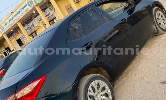 Acheter Occasion Voiture Toyota Corolla Noir à an–Na'mah, Hudh-ash-Sharqi Acheter Occasion Voiture Toyota Corolla Noir à an–Na'mah, Hudh-ash-Sharqi