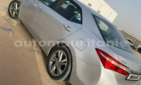 Acheter Occasion Voiture Toyota Corolla Autre à Aleg, Brakna Acheter Occasion Voiture Toyota Corolla Autre à Aleg, Brakna