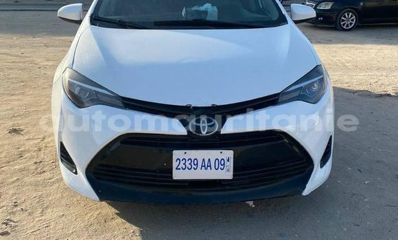 Acheter Occasion Voiture Toyota Corolla Blanc à an–Na'mah, Hudh-ash-Sharqi Acheter Occasion Voiture Toyota Corolla Blanc à an–Na'mah, Hudh-ash-Sharqi