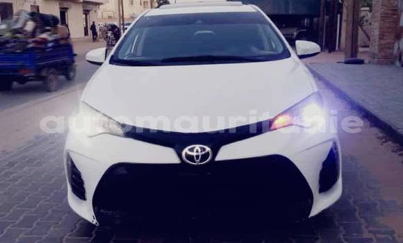 Acheter Occasion Voiture Hyundai Elantra Blanc à Aleg, Brakna Acheter Occasion Voiture Hyundai Elantra Blanc à Aleg, Brakna