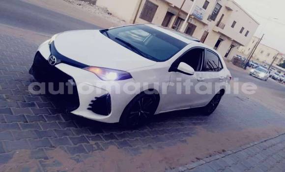 Acheter Occasion Voiture Hyundai Elantra Blanc à Aleg, Brakna Acheter Occasion Voiture Hyundai Elantra Blanc à Aleg, Brakna