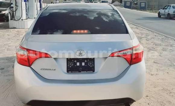 Acheter Occasion Voiture Toyota Corolla Autre à an–Na'mah, Hudh-ash-Sharqi Acheter Occasion Voiture Toyota Corolla Autre à an–Na'mah, Hudh-ash-Sharqi