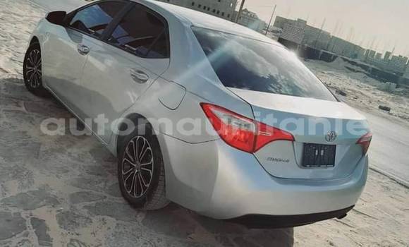 Acheter Occasion Voiture Toyota Corolla Autre à an–Na'mah, Hudh-ash-Sharqi Acheter Occasion Voiture Toyota Corolla Autre à an–Na'mah, Hudh-ash-Sharqi