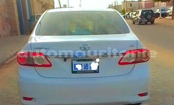 Acheter Occasion Voiture Toyota Corolla Blanc à Aqjawajat, Inshiri Acheter Occasion Voiture Toyota Corolla Blanc à Aqjawajat, Inshiri