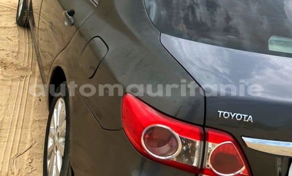 Acheter Occasion Voiture Toyota Corolla Noir à an–Na'mah, Hudh-ash-Sharqi Acheter Occasion Voiture Toyota Corolla Noir à an–Na'mah, Hudh-ash-Sharqi