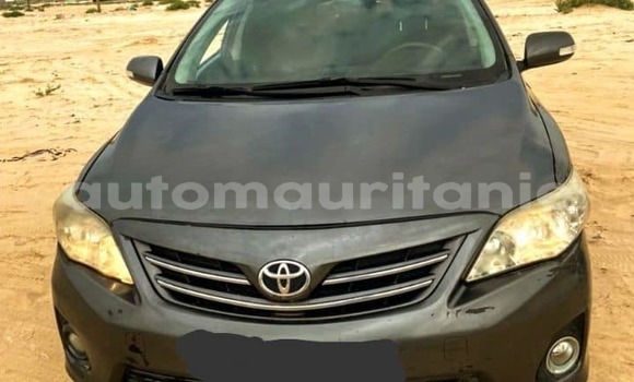 Acheter Occasion Voiture Toyota Corolla Noir à an–Na'mah, Hudh-ash-Sharqi Acheter Occasion Voiture Toyota Corolla Noir à an–Na'mah, Hudh-ash-Sharqi