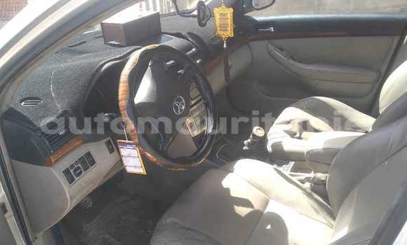 Acheter Occasion Voiture Toyota Altezza Autre à Aqjawajat, Inshiri Acheter Occasion Voiture Toyota Altezza Autre à Aqjawajat, Inshiri