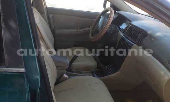 Acheter Occasion Voiture Toyota Corolla Autre à Aqjawajat, Inshiri Acheter Occasion Voiture Toyota Corolla Autre à Aqjawajat, Inshiri