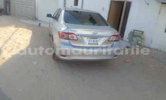 Acheter Occasion Voiture Toyota Aristo Autre à an–Na'mah, Hudh-ash-Sharqi Acheter Occasion Voiture Toyota Aristo Autre à an–Na'mah, Hudh-ash-Sharqi