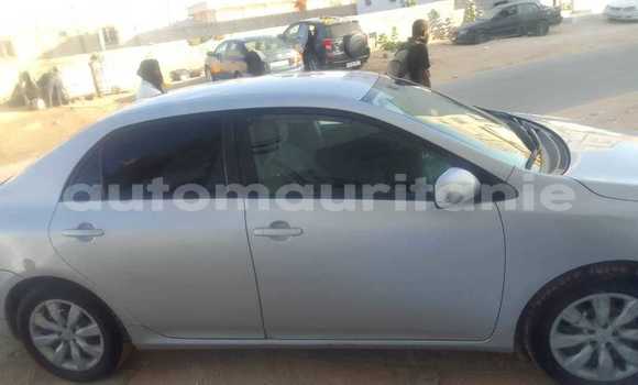 Acheter Occasion Voiture Toyota Aristo Autre à an–Na'mah, Hudh-ash-Sharqi Acheter Occasion Voiture Toyota Aristo Autre à an–Na'mah, Hudh-ash-Sharqi