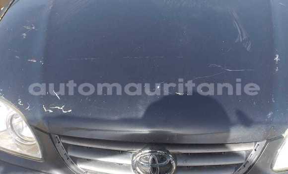 Acheter Occasion Voiture Toyota Aqua Autre à Arafat, Wilaya du Trarza Acheter Occasion Voiture Toyota Aqua Autre à Arafat, Wilaya du Trarza