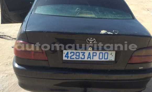 Acheter Occasion Voiture Toyota Aqua Autre à Arafat, Wilaya du Trarza Acheter Occasion Voiture Toyota Aqua Autre à Arafat, Wilaya du Trarza