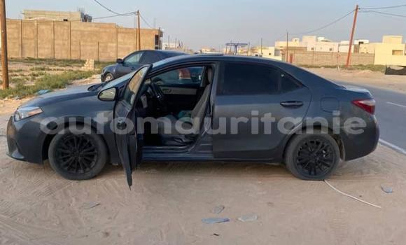 Acheter Occasion Voiture Toyota Corolla Noir à Aqjawajat, Inshiri Acheter Occasion Voiture Toyota Corolla Noir à Aqjawajat, Inshiri