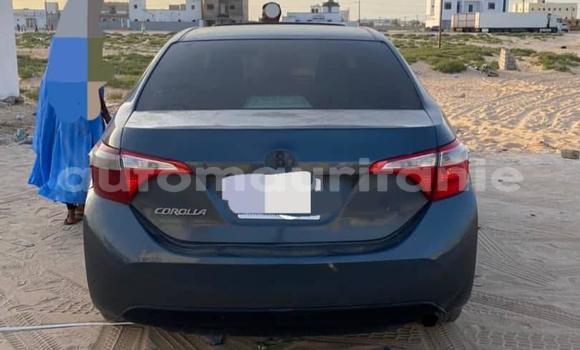 Acheter Occasion Voiture Toyota Corolla Noir à Aqjawajat, Inshiri Acheter Occasion Voiture Toyota Corolla Noir à Aqjawajat, Inshiri