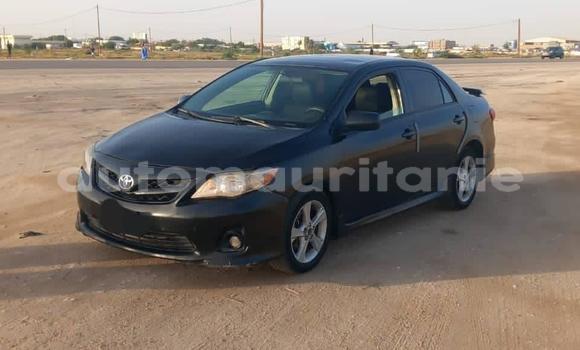 Acheter Occasion Voiture Toyota Corolla Noir à Aleg, Brakna Acheter Occasion Voiture Toyota Corolla Noir à Aleg, Brakna