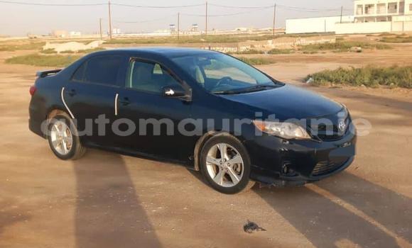 Acheter Occasion Voiture Toyota Corolla Noir à Aleg, Brakna Acheter Occasion Voiture Toyota Corolla Noir à Aleg, Brakna