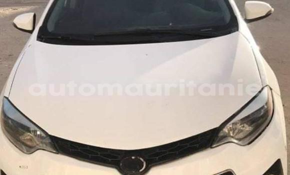 Buy Used Toyota Corolla White Car in Atar in Adrar Buy Used Toyota Corolla White Car in Atar in Adrar