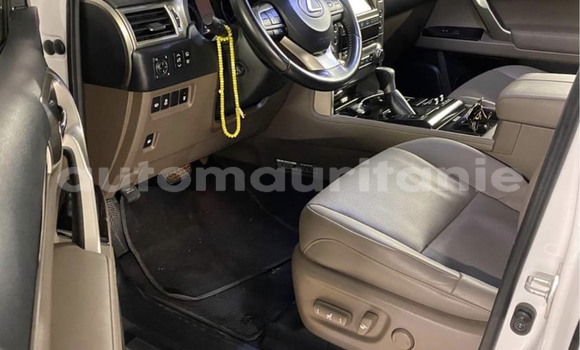 Buy Import Lexus GX White Car in Nouakchott in West Nouakchott