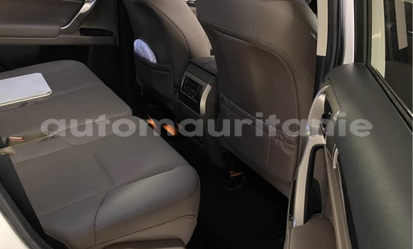 Acheter Import Voiture Lexus GX Blanc à Nouakchott, Nouakchott Ouest Acheter Import Voiture Lexus GX Blanc à Nouakchott, Nouakchott Ouest