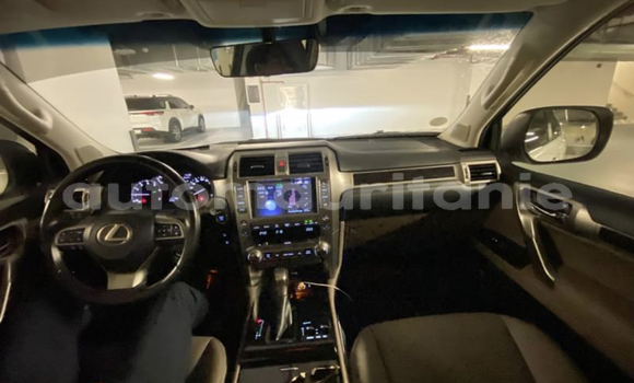 Acheter Import Voiture Lexus GX Blanc à Nouakchott, Nouakchott Ouest Acheter Import Voiture Lexus GX Blanc à Nouakchott, Nouakchott Ouest