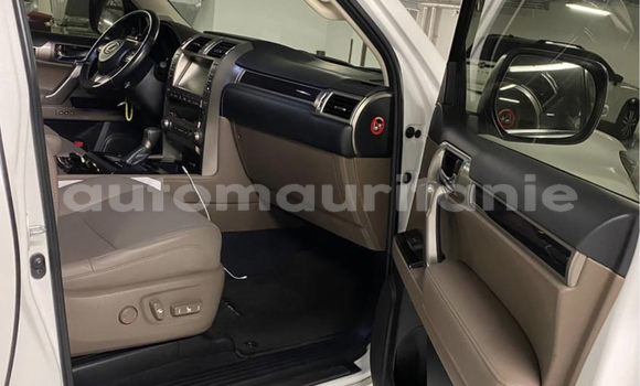 Acheter Import Voiture Lexus GX Blanc à Nouakchott, Nouakchott Ouest Acheter Import Voiture Lexus GX Blanc à Nouakchott, Nouakchott Ouest