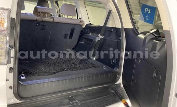 Acheter Import Voiture Lexus GX Blanc à Nouakchott, Nouakchott Ouest Acheter Import Voiture Lexus GX Blanc à Nouakchott, Nouakchott Ouest