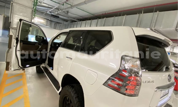 Acheter Import Voiture Lexus GX Blanc à Nouakchott, Nouakchott Ouest Acheter Import Voiture Lexus GX Blanc à Nouakchott, Nouakchott Ouest