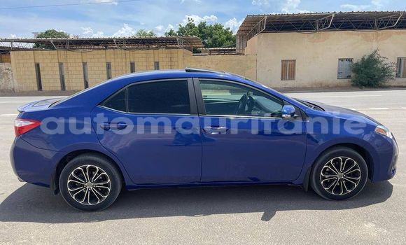 Buy Used Toyota Corolla Blue Car in Akjoujt in Inchiri Buy Used Toyota Corolla Blue Car in Akjoujt in Inchiri