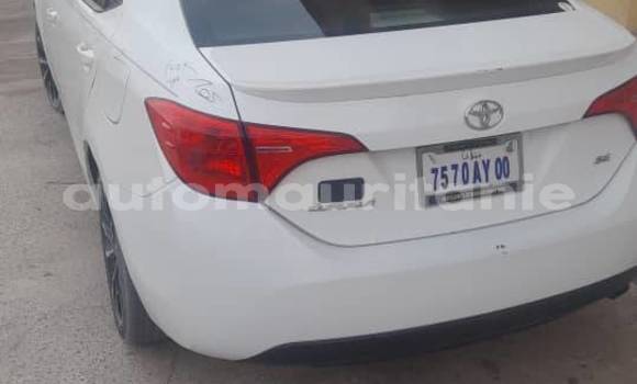 Buy Used Toyota Corolla White Car in Alaq in Brakna Buy Used Toyota Corolla White Car in Alaq in Brakna