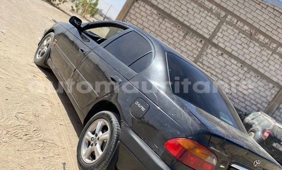 Buy Used Toyota Allex Black Car in Alaq in Brakna Buy Used Toyota Allex Black Car in Alaq in Brakna