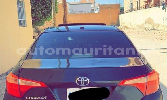 Buy Used Toyota Corolla Blue Car in an–Na'mah in Hudh-ash-Sharqi Buy Used Toyota Corolla Blue Car in an–Na'mah in Hudh-ash-Sharqi