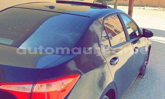 Buy Used Toyota Corolla Blue Car in an–Na'mah in Hudh-ash-Sharqi Buy Used Toyota Corolla Blue Car in an–Na'mah in Hudh-ash-Sharqi