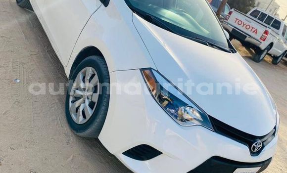 Buy Used Toyota Corolla White Car in Alaq in Brakna Buy Used Toyota Corolla White Car in Alaq in Brakna
