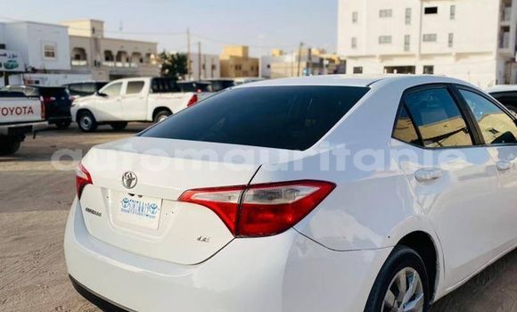 Buy Used Toyota Corolla White Car in Alaq in Brakna Buy Used Toyota Corolla White Car in Alaq in Brakna