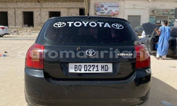 Buy Used Toyota Corolla Black Car in Aleg in Brakna Buy Used Toyota Corolla Black Car in Aleg in Brakna
