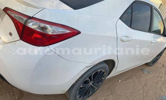 Acheter Occasion Voiture Toyota Corolla Blanc à Adel Bagrou, Hodh ech Chargui Acheter Occasion Voiture Toyota Corolla Blanc à Adel Bagrou, Hodh ech Chargui