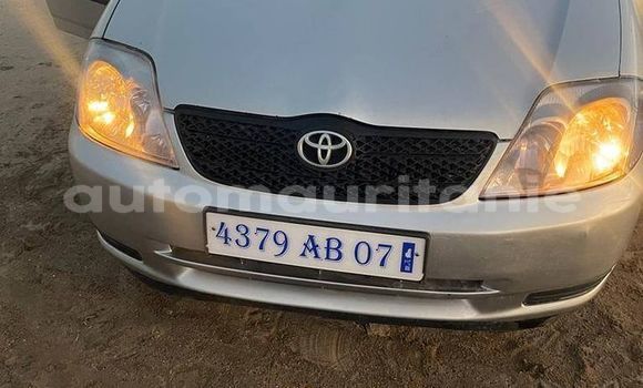 Acheter Occasion Voiture Toyota Corolla Autre à Adel Bagrou, Hodh ech Chargui Acheter Occasion Voiture Toyota Corolla Autre à Adel Bagrou, Hodh ech Chargui