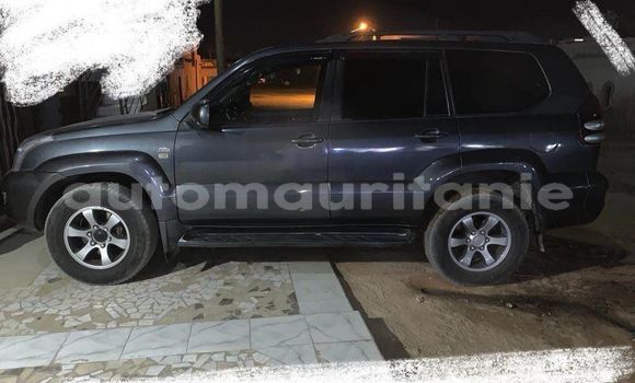 Acheter Occasion Voiture Acura CSX Autre à Nouakchott, Nouakchott Ouest Acheter Occasion Voiture Acura CSX Autre à Nouakchott, Nouakchott Ouest