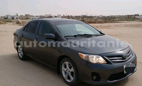 Acheter Occasion Voiture Toyota Corolla Autre à Nouakchott, Nouakchott Ouest Acheter Occasion Voiture Toyota Corolla Autre à Nouakchott, Nouakchott Ouest