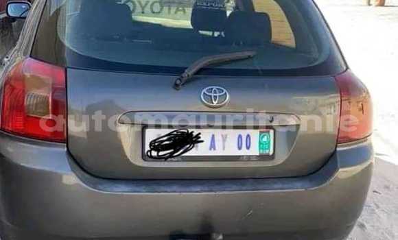 Acheter Occasion Voiture Toyota IST Autre à Aleg, Brakna Acheter Occasion Voiture Toyota IST Autre à Aleg, Brakna