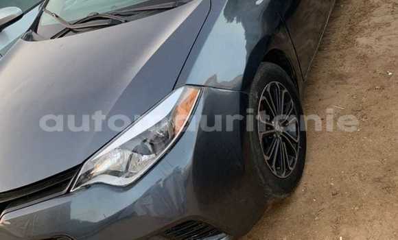 Acheter Occasion Voiture Toyota Corolla Autre à Aleg, Brakna Acheter Occasion Voiture Toyota Corolla Autre à Aleg, Brakna