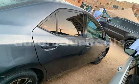 Acheter Occasion Voiture Toyota Corolla Autre à Aleg, Brakna Acheter Occasion Voiture Toyota Corolla Autre à Aleg, Brakna