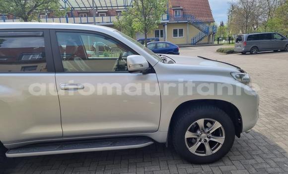 Acheter Neuf Voiture Toyota Land Cruiser Gris à Nawakshut, Nawakshut