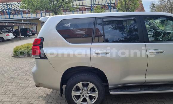 Acheter Neuf Voiture Toyota Land Cruiser Gris à Nawakshut, Nawakshut Acheter Neuf Voiture Toyota Land Cruiser Gris à Nawakshut, Nawakshut