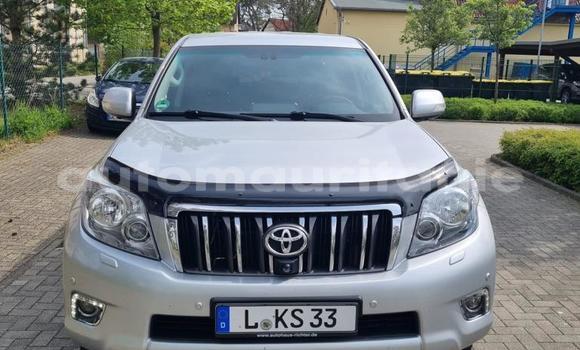 Acheter Neuf Voiture Toyota Land Cruiser Gris à Nawakshut, Nawakshut Acheter Neuf Voiture Toyota Land Cruiser Gris à Nawakshut, Nawakshut