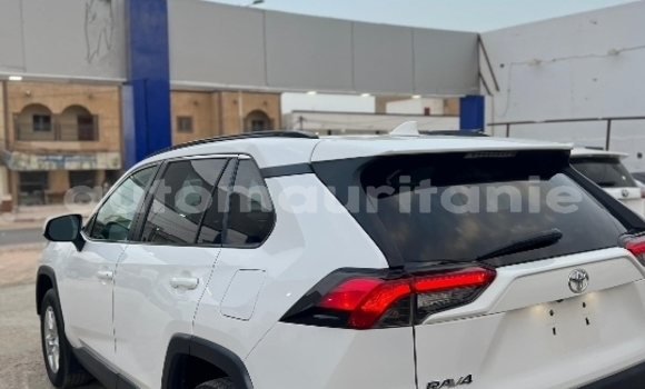 Acheter Occasion Voiture Toyota RAV4 Blanc à Nouakchott, Nouakchott Ouest Acheter Occasion Voiture Toyota RAV4 Blanc à Nouakchott, Nouakchott Ouest