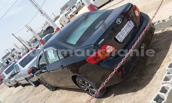 Buy Used Toyota Corolla Other Car in Aqjawajat in Inshiri Buy Used Toyota Corolla Other Car in Aqjawajat in Inshiri