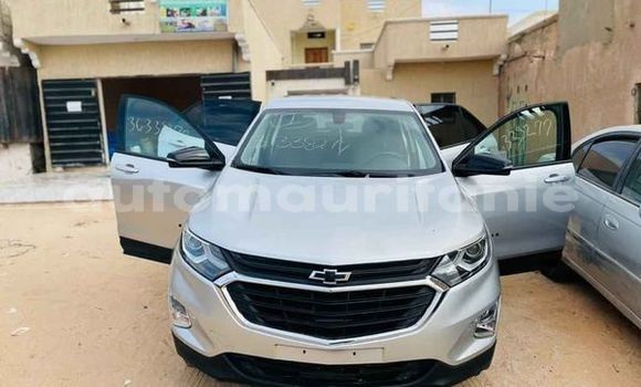 Buy Used Chevrolet Alto Other Car in Aleg in Brakna Buy Used Chevrolet Alto Other Car in Aleg in Brakna