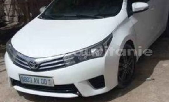 Buy Used Toyota Corolla Other Car in Akjoujt in Inchiri Buy Used Toyota Corolla Other Car in Akjoujt in Inchiri